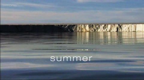 Summer
