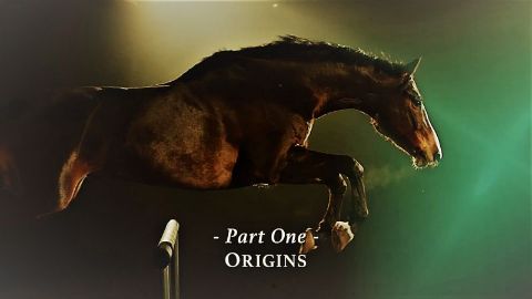 Origins