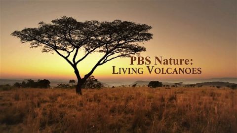 Living Volcanoes