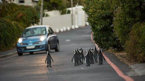 Commuters