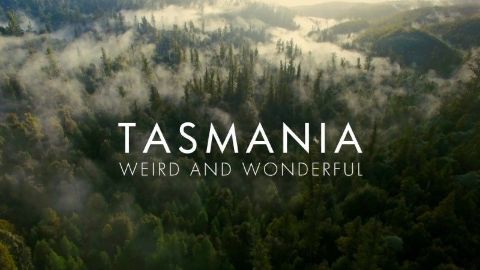 Tasmania: Weird and Wonderful