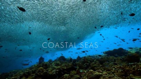 Coastal Seas