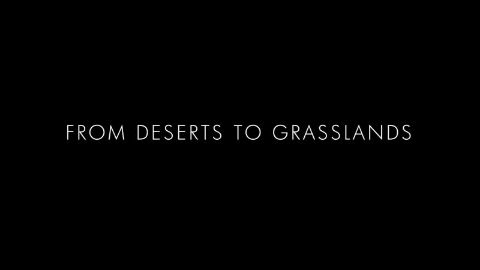 From Deserts to Grasslands