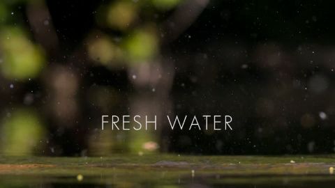 Fresh Water