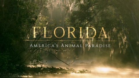 Florida: America's Animal Paradise
