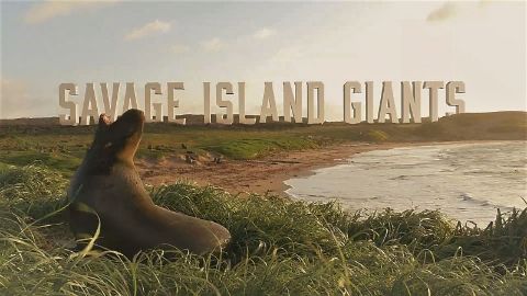 Savage Island Giants