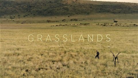 Grasslands