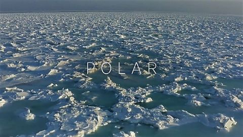 Polar