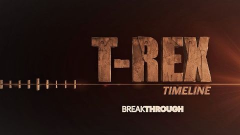 T-Rex Timeline