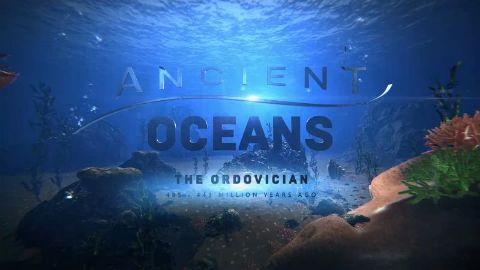 The Ordovician