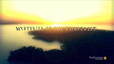 Mysteries of the Rainforest