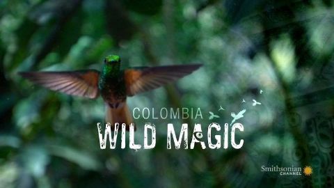 Colombia: Wild Magic