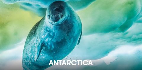 Antarctica