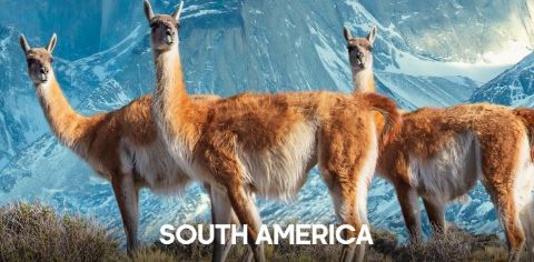 South America