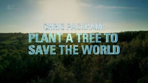 Plant a Tree to Save the World