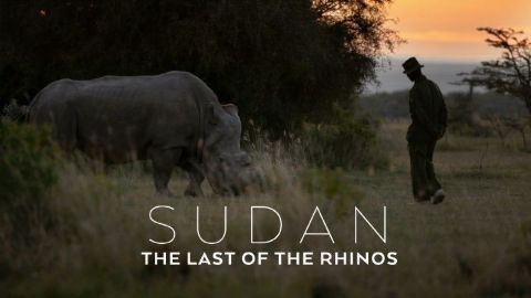 Sudan: The Last of the Rhinos