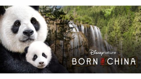 Born in China