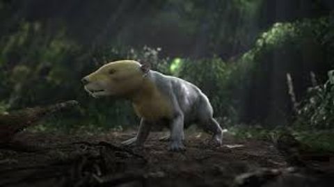Rise of the Mammals