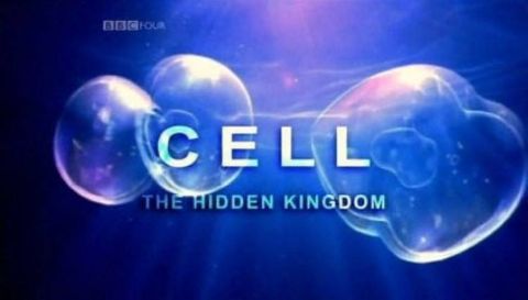 Hidden Kingdom