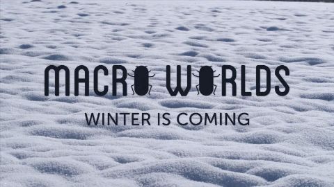 Winter is Coming