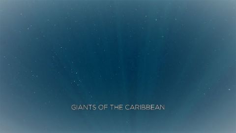 Giants of the Caribbean