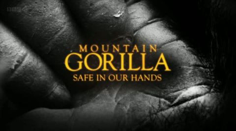 Safe in our Hands