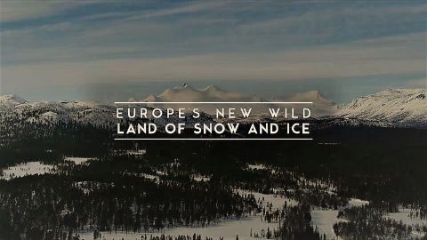The Land of the Snow and Ice