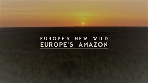 Europe's Amazon