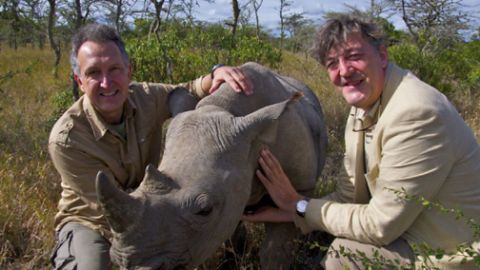 Return of the Rhino (Special)