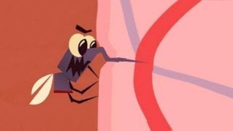The loathsome, lethal mosquito