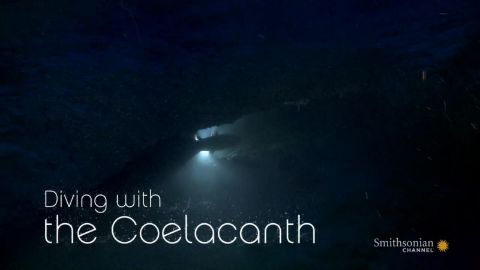 Diving with the Coelacanth