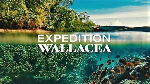 Expedition Wallacea