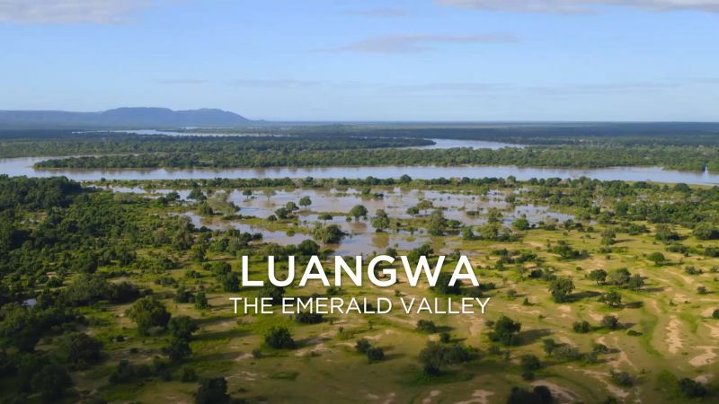 Luangwa the Emerald Valley
