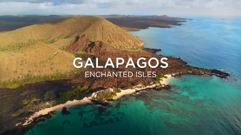 Galapagos Enchanted Isles