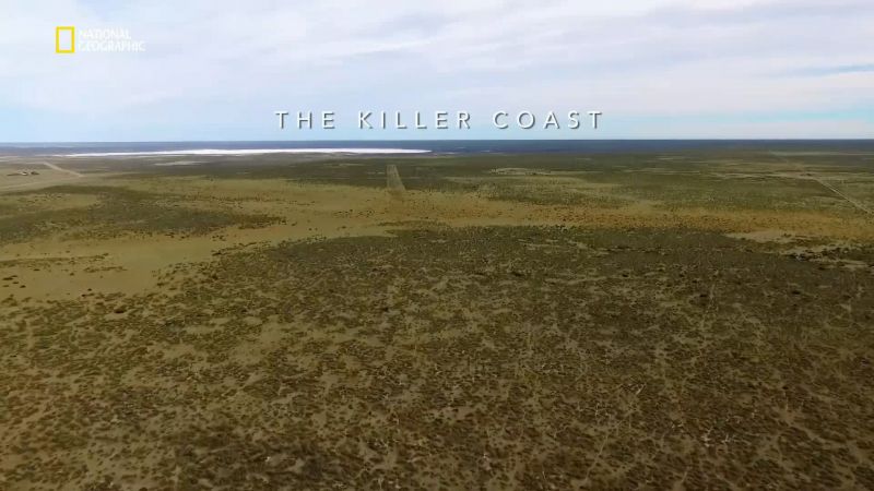 Killer Coast