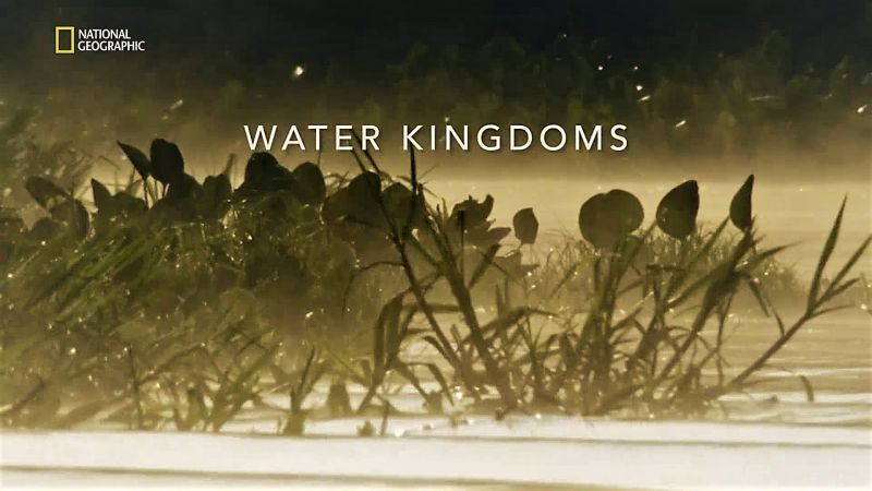 Water Kingdoms