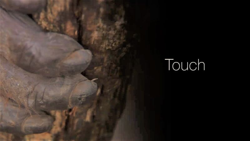 Touch