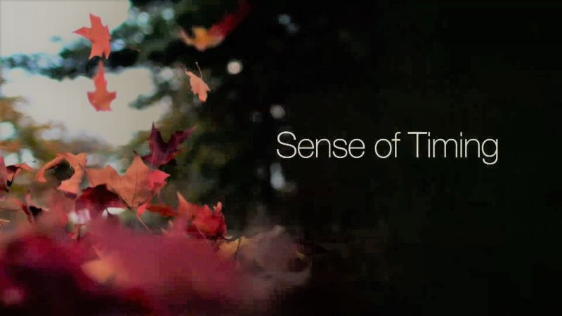 Sense of Timing