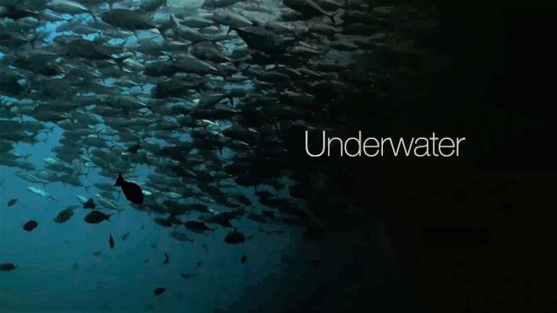 Underwater