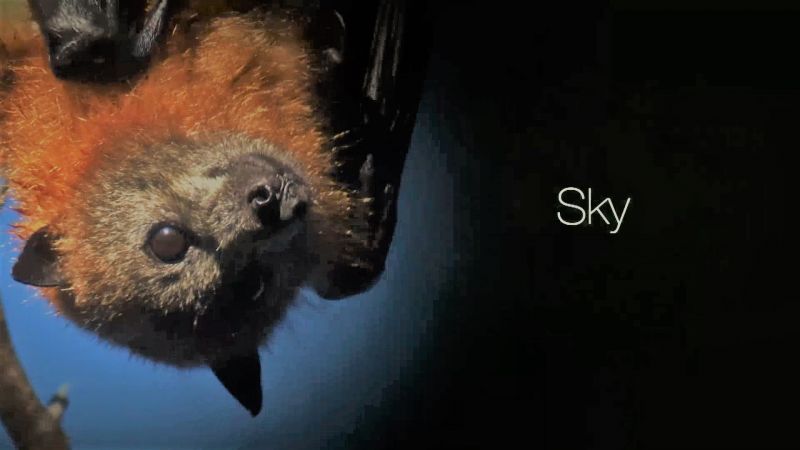 Sky