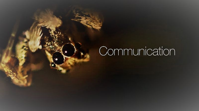 Communication