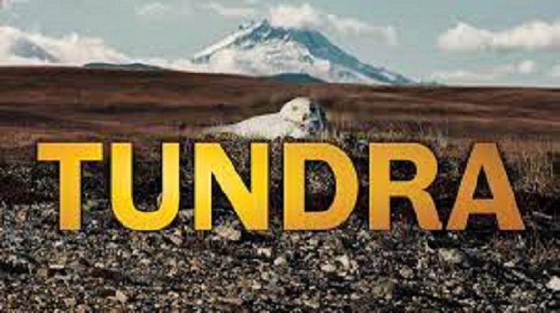Tundra