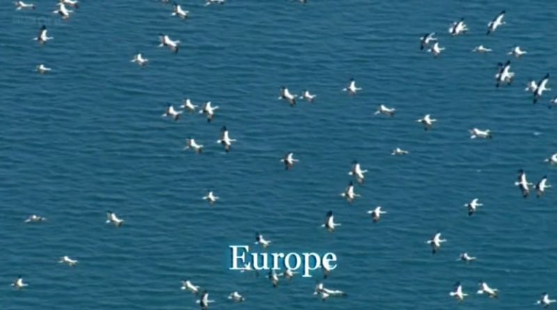 Europe