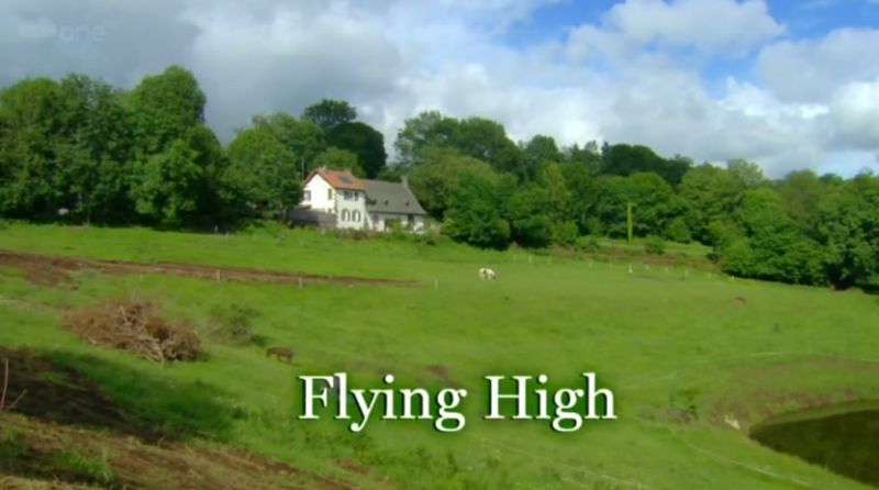 Flying High