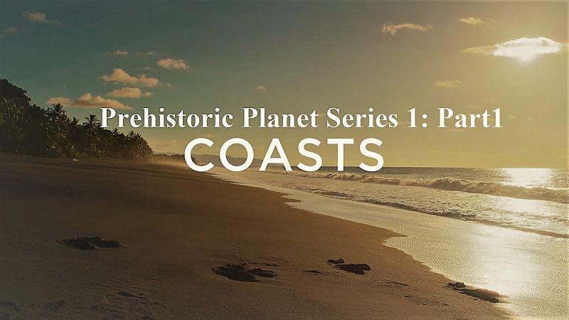 Coasts