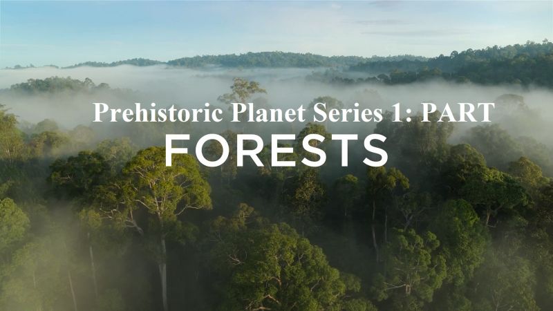 Forests