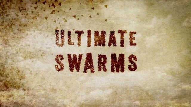 Ultimate Swarms