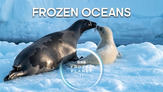 Frozen Oceans