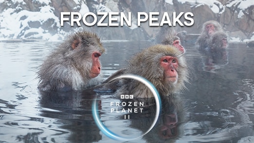 Frozen Peaks