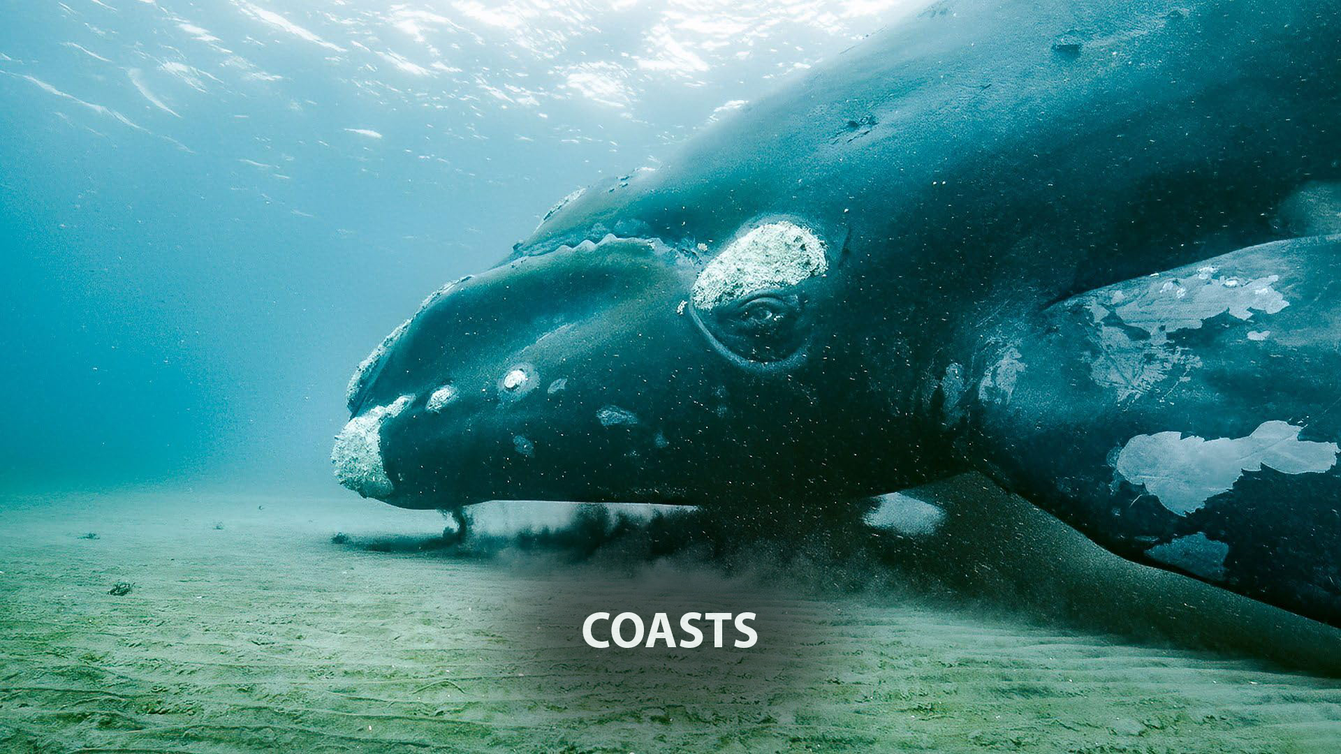 Coasts